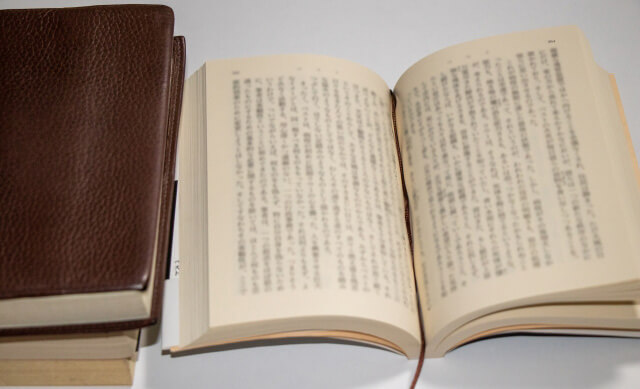 『艶歌』という小説