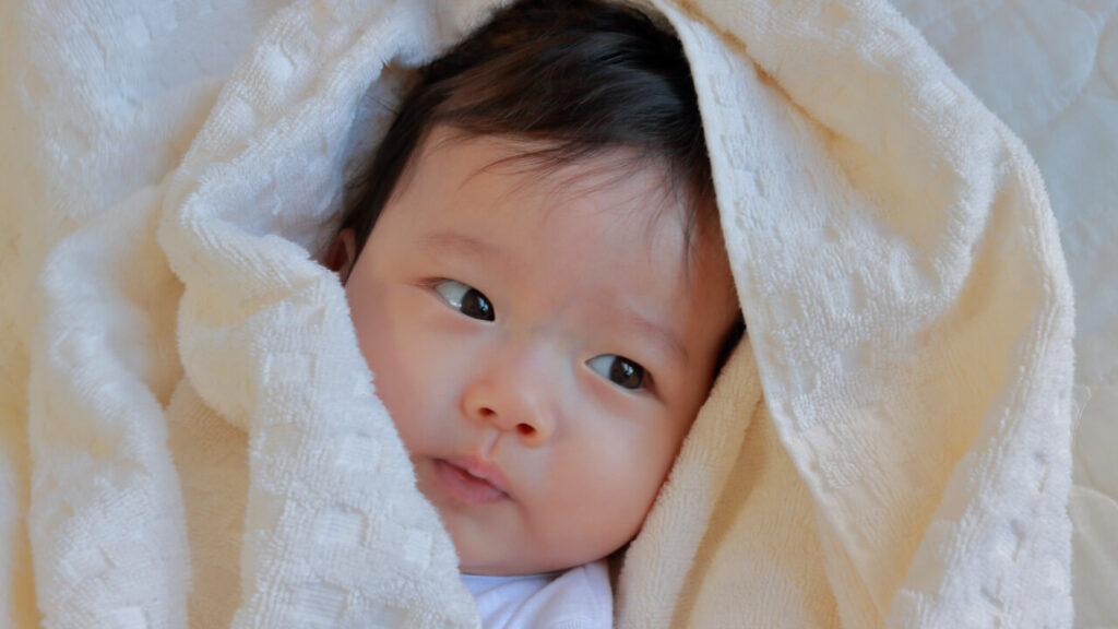 子供の名前決め