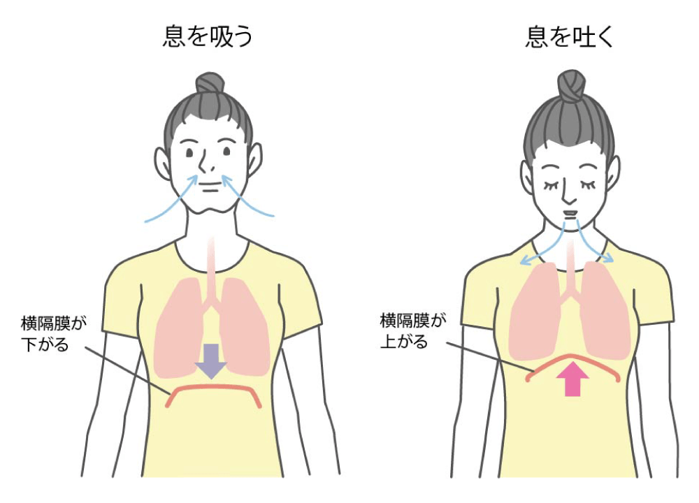 歌に適した呼吸のやり方